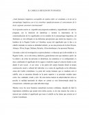 EL CABELLO, REFLEJO DE TUS RAICES