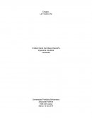 La tercer ola Cristian David Quimbayo Daraviña