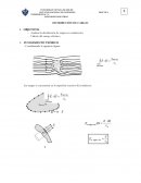 CAMPO ELECTRICO Analizar la distribución de cargas en conductores.