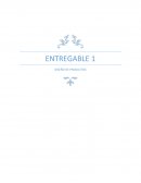 ENTREGABLE 1 DISEÑO DE PRODUCTOS