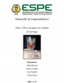 Filtros de agua con semillas de moringa