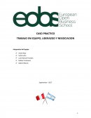 Trabajo en Equipo - KleanGo vs VerticAl CASO PRACTICO