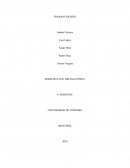 Derecho Civil TRABAJO ESCRITO