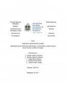 Organismos geneticamente mutados Modificaciones de interés para productores y consumidores, impacto para la salud humana y análisis de riesgos