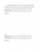 Resumen Participación I