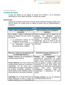 Legislacion de enfemeria