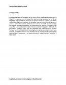 INTRODUCCIÓN: Aprendizaje organizacional