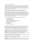 Como se d ael Trastorno del desarrollo neurológico