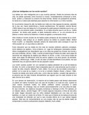 ¿Qué tan inteligentes son los recién nacidos?