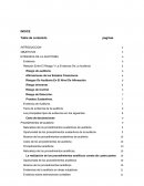 Evidencia en Auditoria INTRODUCCION