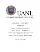 INTEGRADORA QUIMICA 1 De separación de CO2