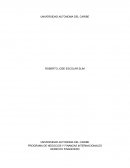 PROGRAMA DE NEGOCIOS Y FINANZAS INTERNACIONALES