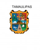 Ensayo Tamaulipas