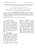 Informe purificacion INTRODUCCIÓN