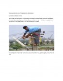 Electricidad FORMULACION DE LAS ACTIVIDADES DE APRENDIZAJE