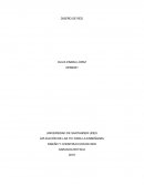 DISEÑO Y CONSTRUCCION DE RED