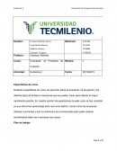 Una nueva Evidencia 2 Evalucion de Proyectos de Inversion (Reporte de Proceso)