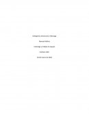 Tarea semana 6 Liderazgo y trabajo en equipo