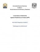 Ontologia de enfermeria