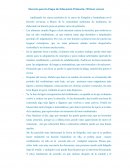 Horario para la Etapa de Educación Primaria. (Primer curso)