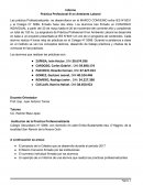 Informe de Práctica Profesional III en Ambiente Laboral