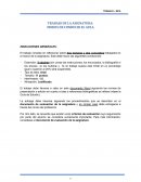 Trabajo asignatura MCA