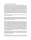 Preparación salchicha industrial Etapas del proceso y recomendaciones