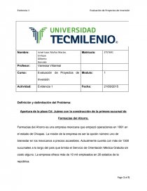 Evidencia 1 Evalucion de Proyectos de Inversion Informe. Página 1