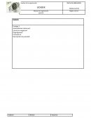 Organizacion en administracion