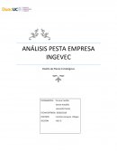 ANÁLISIS PESTA EMPRESA INGEVEC Diseño de Planes Estratégicos