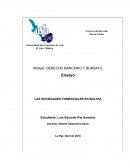 Historia de las socedades comerciales