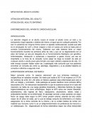 Enfermedades cardiovasculares en el adulto mayor
