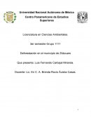 Deforestación en Zitácuaro Michoacán