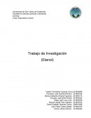 Trabajo de Investigación (Etanol)