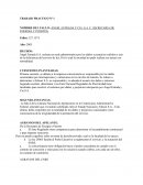 ANÁLISIS DEL FALLO ANGEL ESTRADA