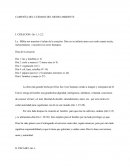 CAMPAÑA DEL CUIDADO DEL MEDIO AMBIENTE