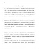 Duro aprendizaje - Ensayo