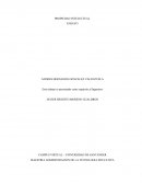 PROPIEDAD INTELECTUAL ENSAYO