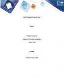 ANÁLISIS DE CRITICIDAD AUTOMÓVIL CONDUCAR LTDA PASTO