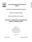 Bioquímica Celular y de los Tejidos I “Extracción e identificación de carbohidratos de reserva en animales y plantas”