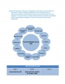 IMPLANTACIÓN DEL ERP
