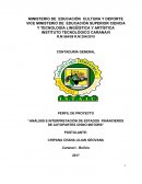 PERFIL DE PROYECTO “ANÁLISIS E INTERPRETACIÓN DE ESTADOS FINANCIEROS DE AUTOPARTES CHINO MOTORS”