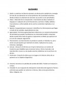 Introduccion filosofia de educacion