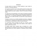 El aceite esencial