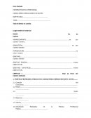 IINFORME PRACTICA PROFESIONAL