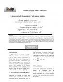 Área de Física Laboratorio 2: Capacidad Calórica de Sólidos