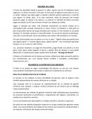 Caja arequipa Resumen