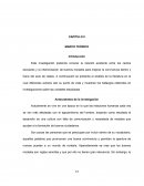 Disciplina marco teorico