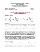 PRÁCTICA 1: Reacción de Diels-Alder. Obtención del ácido-5,6-norbonendicarboxílico