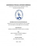 INFORME DE PRACTICAS PRE PROFESIONALES